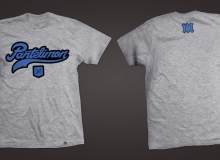 _template_pantelimon_gri