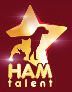 Ham talent cut 40H  